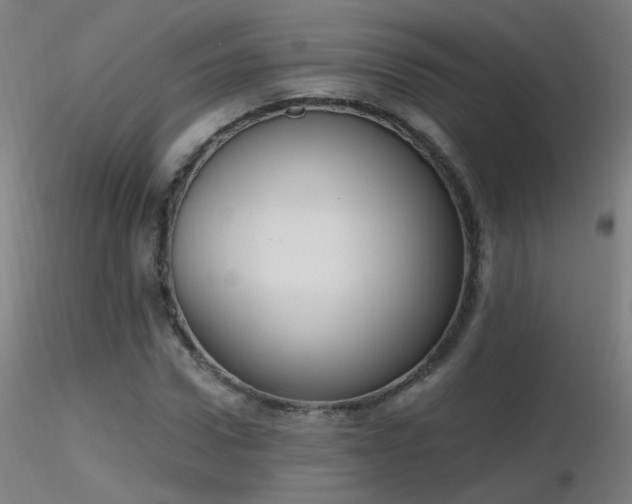X0000116830922200912181430
