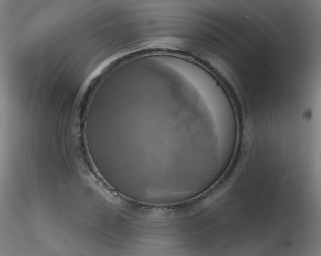 X0000116830923200912181430