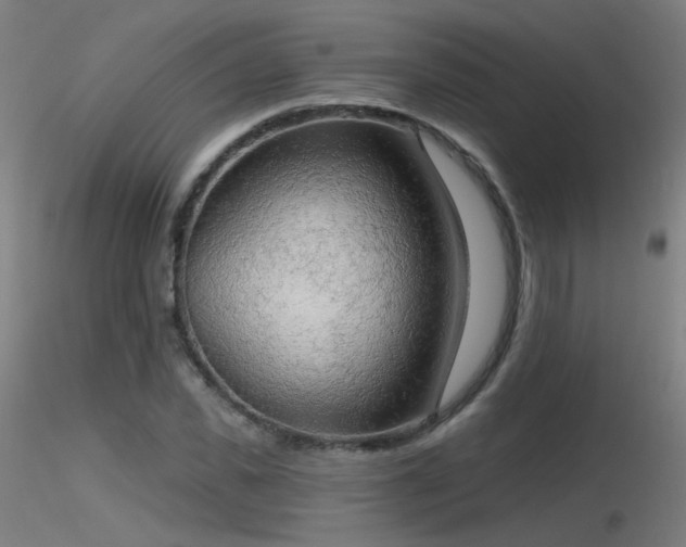 X0000116830925200912181430