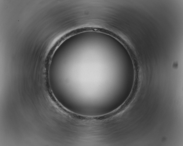 X0000116830926200912181430