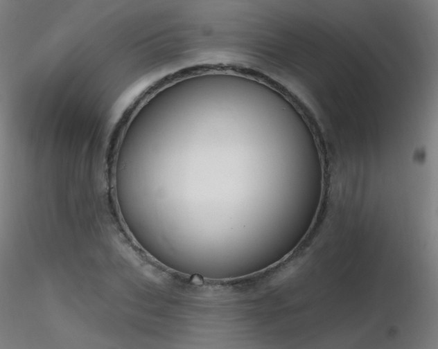 X0000116830927200912181431