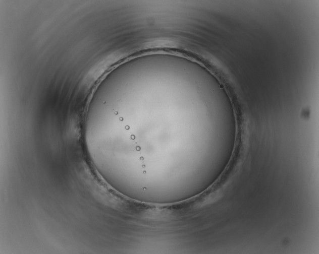 X0000116830929200912181431