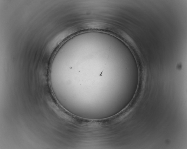 X0000116830930200912181431