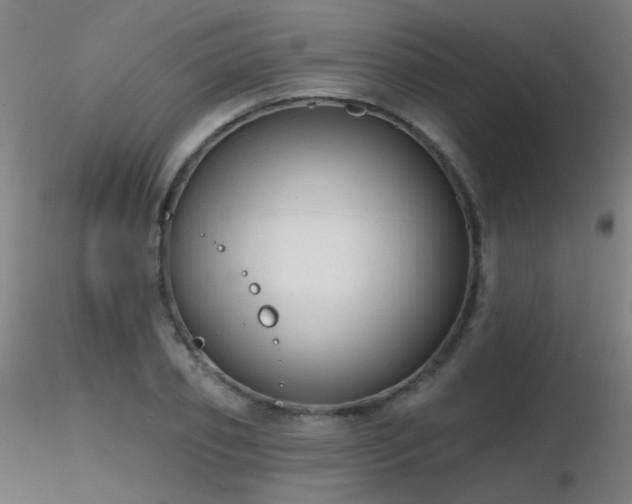 X0000116830933200912181431