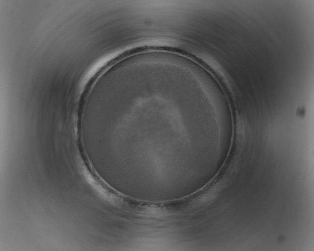 X0000116830935200912181431