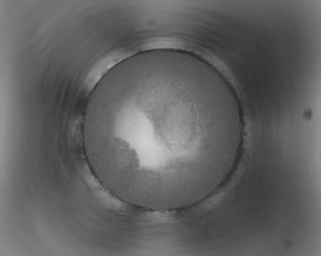 X0000116830937200912181431