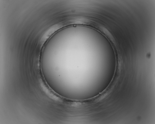 X0000116830938200912181431