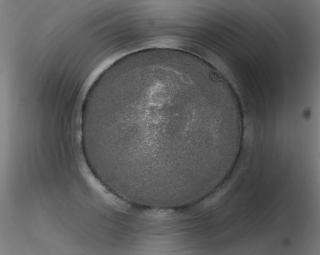 X0000116830939200912181431
