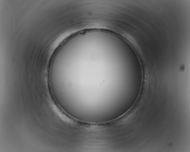 X0000116830942200912181431