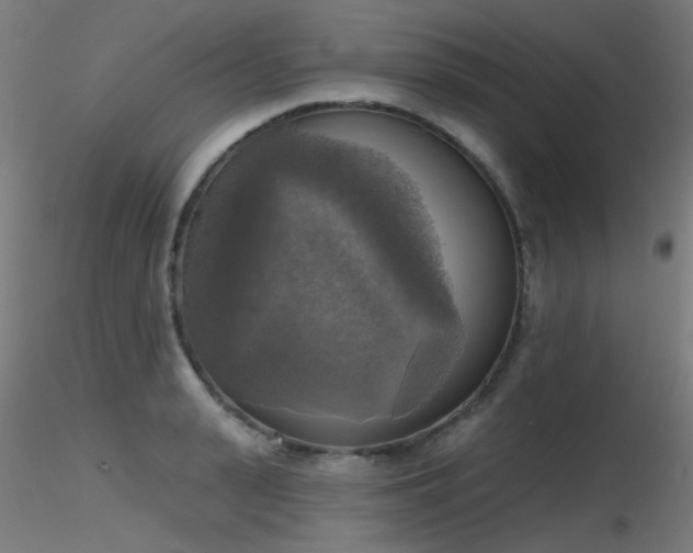 X0000116830943200912181431