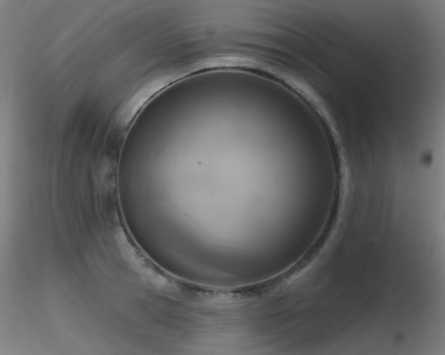 X0000116830945200912181431