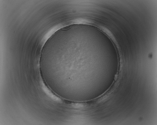 X0000116830946200912181431