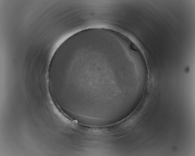 X0000116830951200912181431
