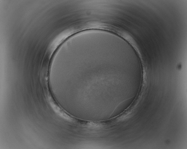 X0000116830954200912181431