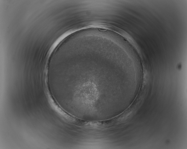 X0000116830955200912181431