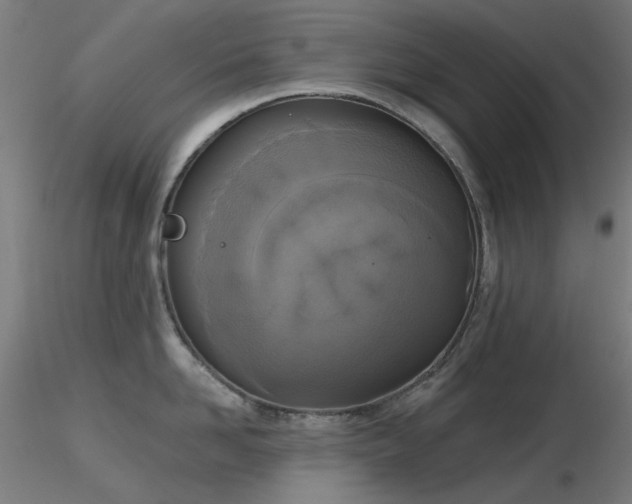 X0000116830958200912181431
