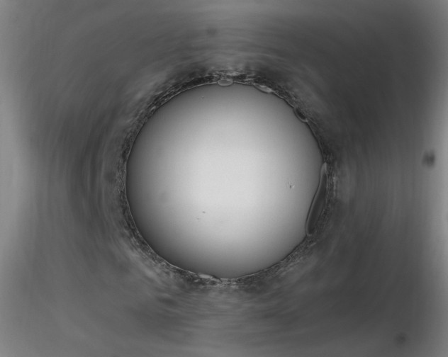 X0000116830961200912181430