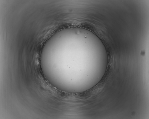 X0000116830962200912181430