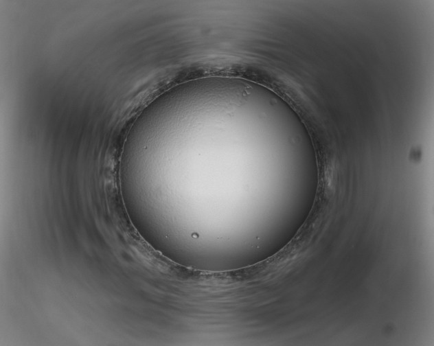 X0000116830964200912181430
