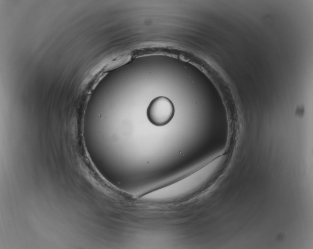 X0000116830969200912181430