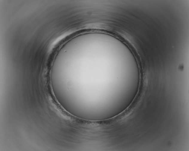 X0000116830971200912181430