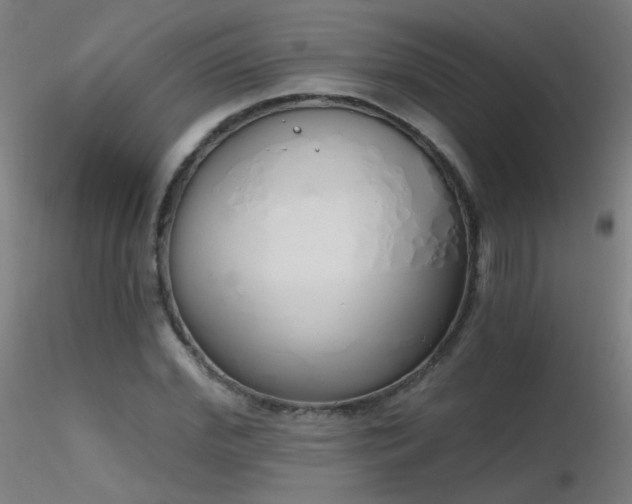 X0000116830972200912181430