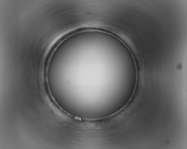 X0000116830976200912181430