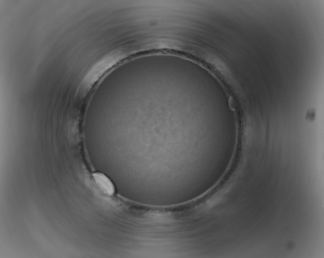 X0000116830977200912181430