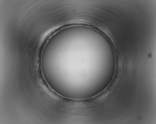 X0000116830979200912181430