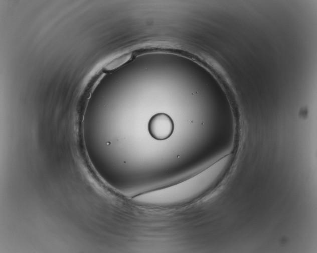 X0000116830981200912181430