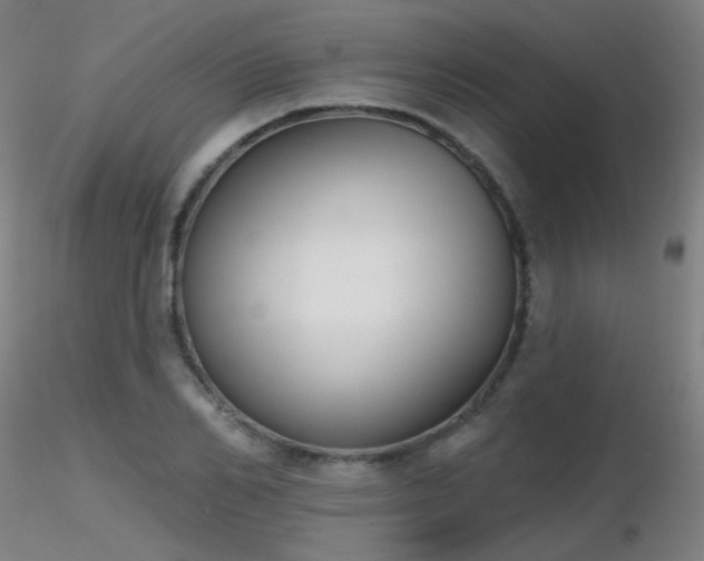 X0000116830982200912181430