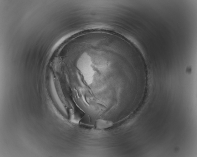 X0000116830983200912181430