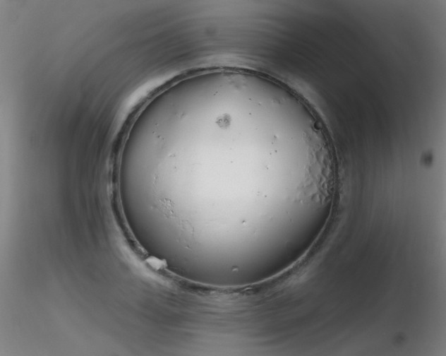 X0000116830987200912181430