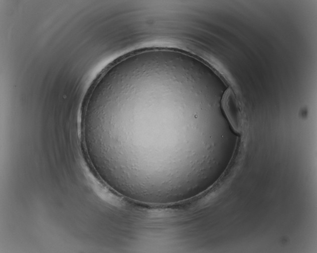 X0000116830988200912181430