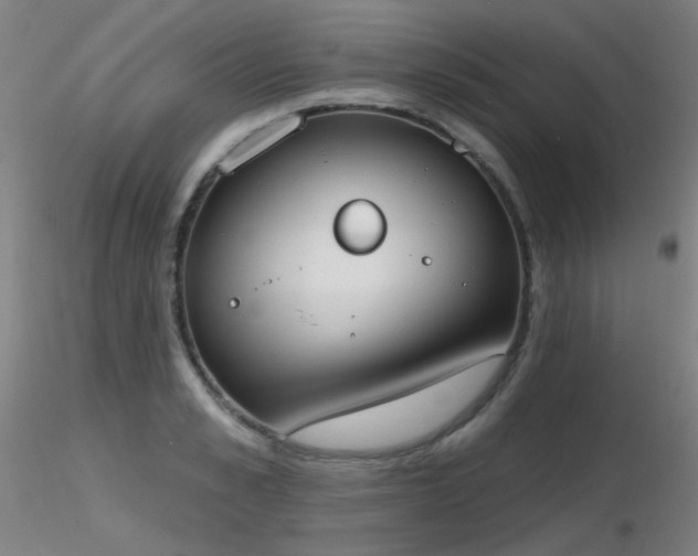 X0000116830989200912181430