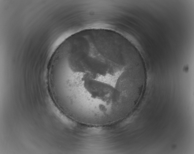 X0000116830990200912181430