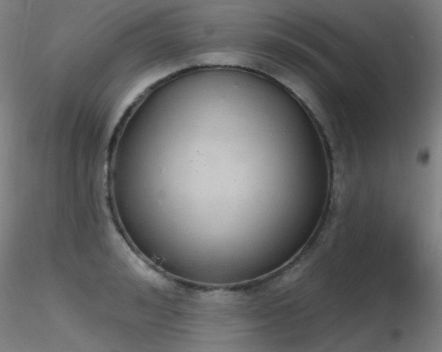 X0000116830992200912181430