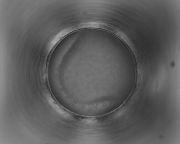 X0000116830994200912181430