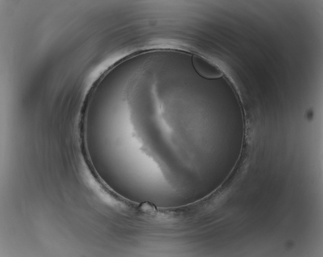 X0000116830995200912181430