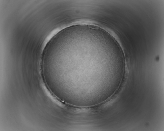 X0000116830997200912181430