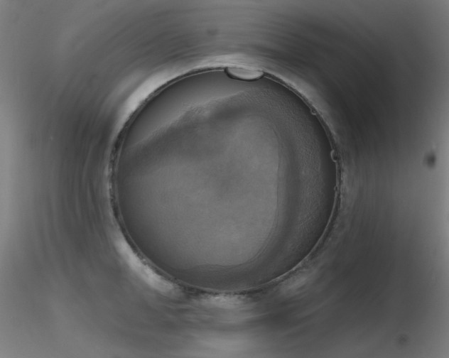 X0000116830998200912181430