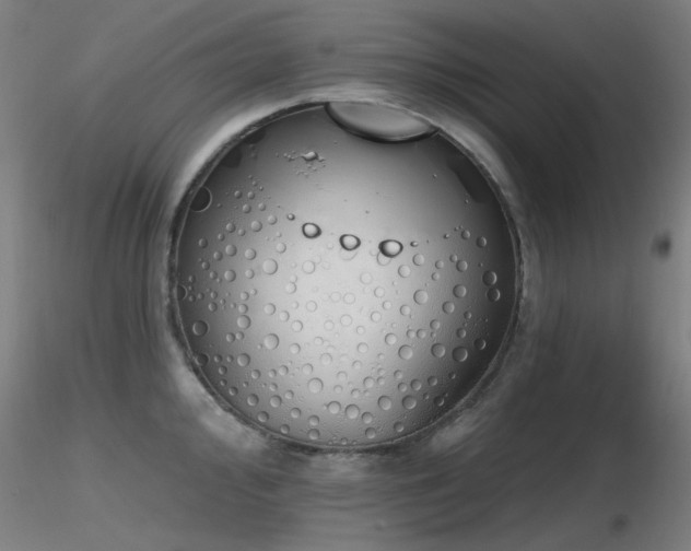 X0000116831000200912181430