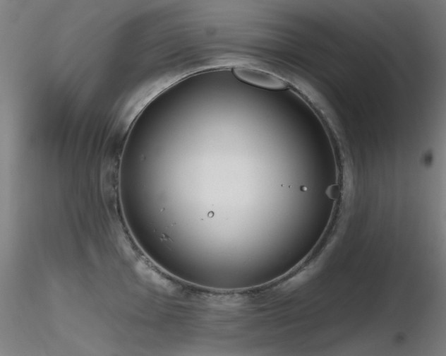 X0000116831001200912181430