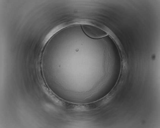 X0000116831002200912181430