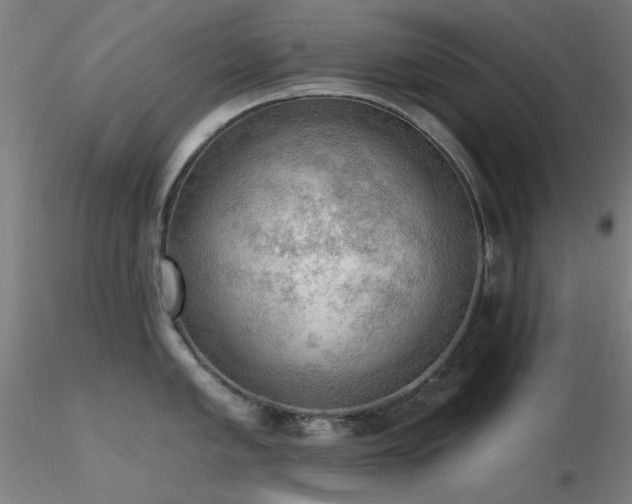 X0000116831005200912181430