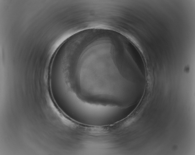 X0000116831007200912181429