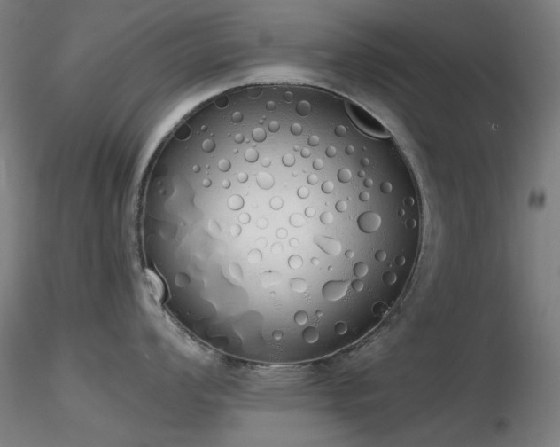 X0000116831008200912181429
