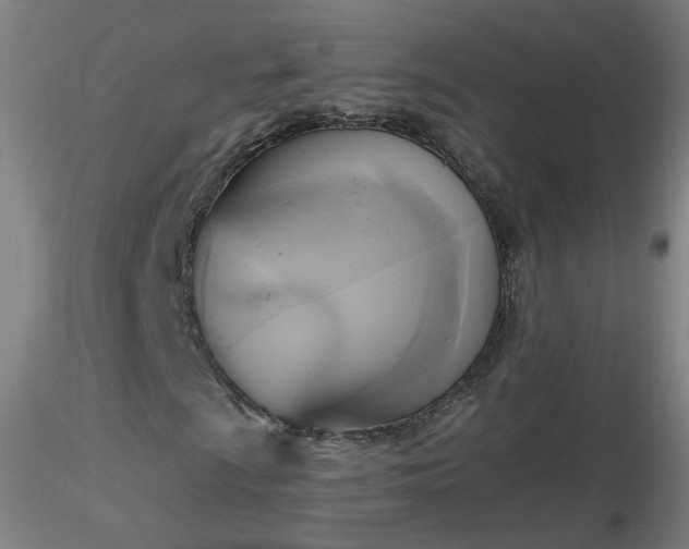 X0000116831009200912181429
