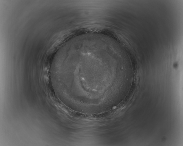 X0000116831010200912181429