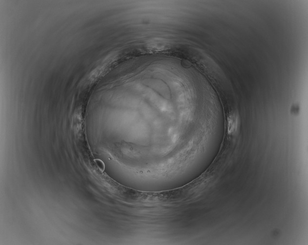 X0000116831011200912181429